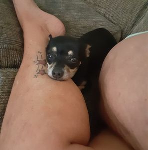 Meet your Posher, Kellie